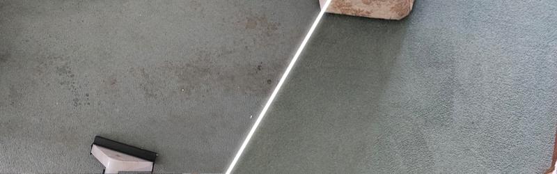 Carpet Cleaning
