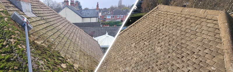 Roof Cleaning