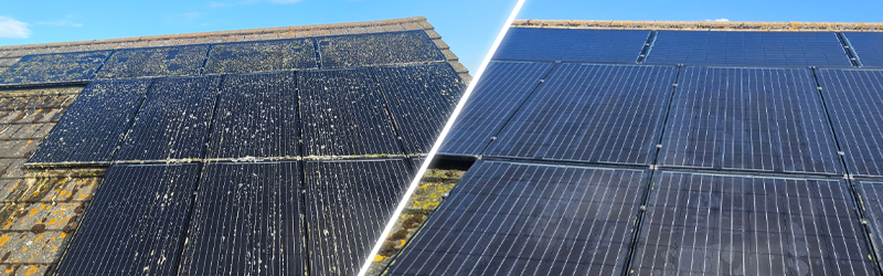Solar Panel Cleaning